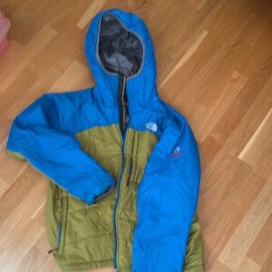 The North Face Mens Blue and Green Performance Jacket